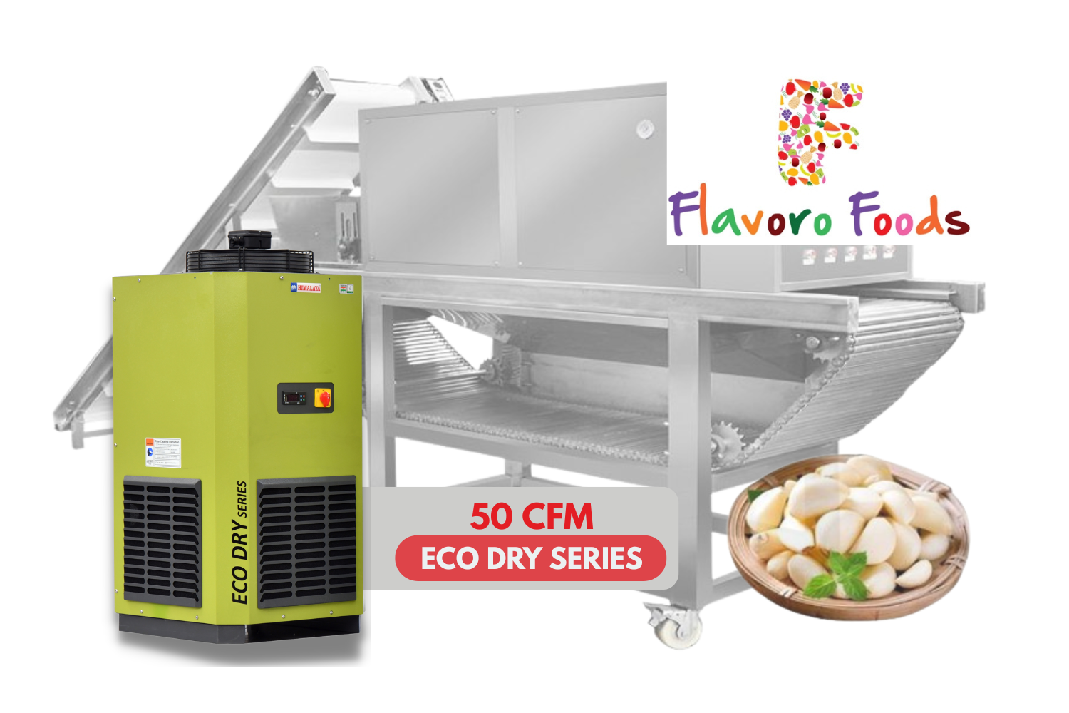 Flavoro Foods | Garlic Peeling| Eco Dry Series SS304 50 cfm air dryer 